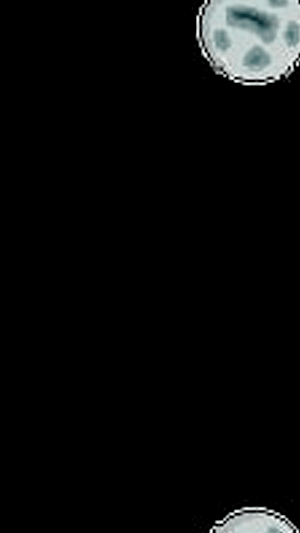 Avoid Asteroids Screenshot 1