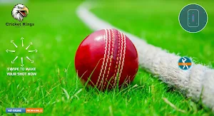 Cricket Kings Cricket Game Screenshot 3