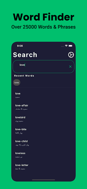 Urdu Dictionary English Screenshot 2