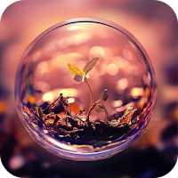 Eye of Life Live Wallpaper
