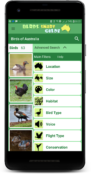 Australia Birds ID - Demo Screenshot 2