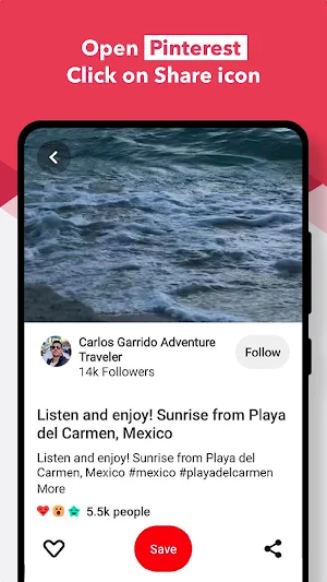 Video Downloader For Pinterest Screenshot 2
