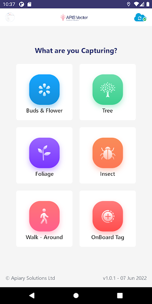 APIS - Vector (Bloom) Screenshot 1