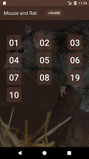 Mouse and Rat (Animal) sounds Screenshot 0