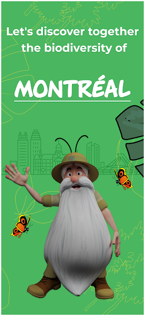 Hello Maestro Montréal Screenshot 0