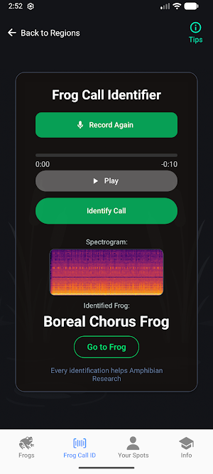 Frog Spot Screenshot 0