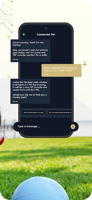 BrownDog Lodge Screenshot 3