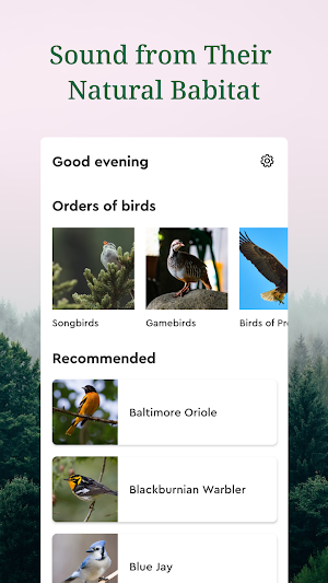 Sound of Bird: Natural Habitat Screenshot 1