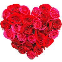 WASticker - Love Flowers