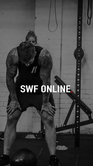 SWF ONLINE Screenshot 0