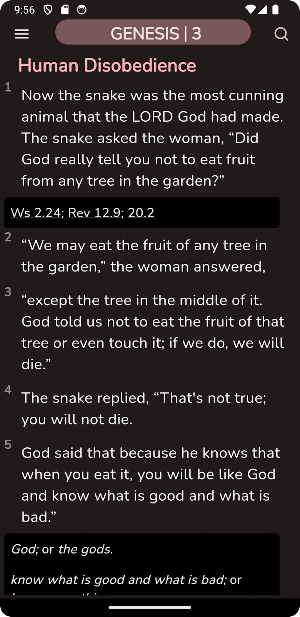 Good News Gospel Bible Screenshot 2