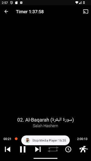 Salah Hashem Full Quran MP3 Screenshot 3