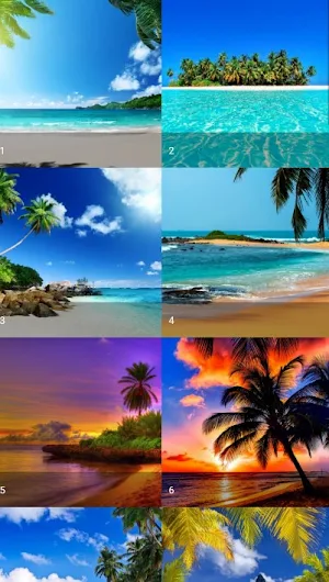 Tropical Wallpaper Screenshot 1