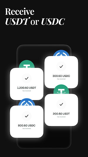AllScale: Stablecoin Payments Screenshot 3