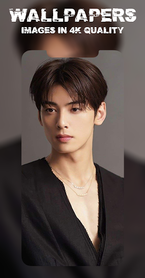 Cha Eun Woo Wallpaper HD Screenshot 3