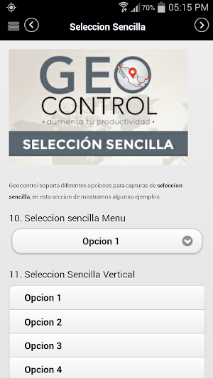 Geocontrol V6 Screenshot 3