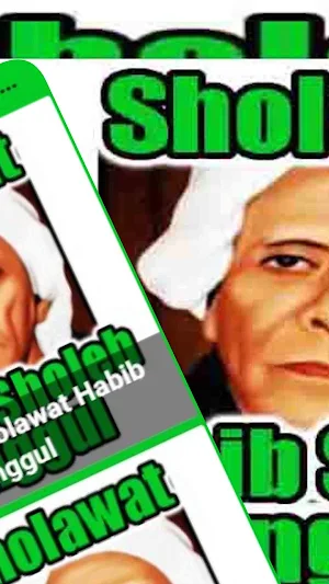 Sholawat Habib Sholeh Tanggul Screenshot 1
