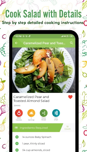 Salad Recipes Screenshot 3