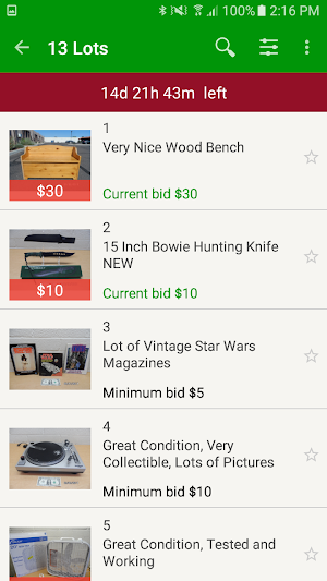 Phoenix Online Auction Screenshot 1