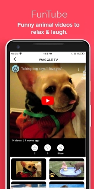 Waggle Pet App Screenshot 2