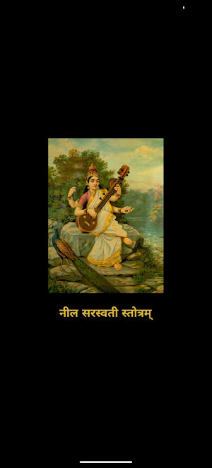 Neel Saraswati Stotram Audio Screenshot 0