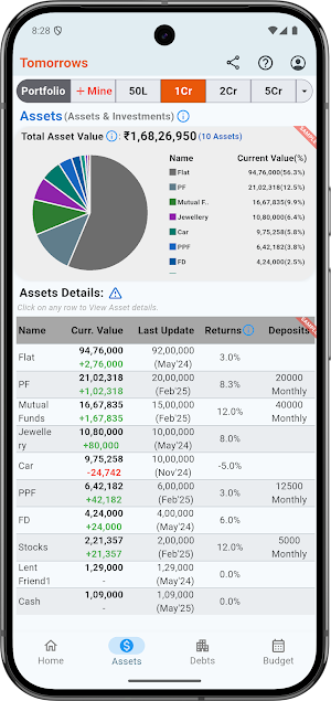 Tomorrows Net Worth Forecaster Screenshot 2
