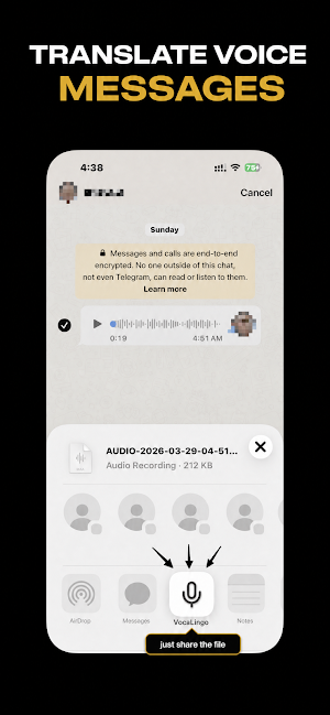 VocaLingo: Voice Translator Screenshot 3