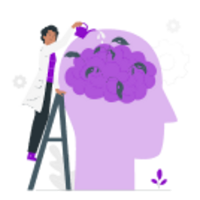 TestHub: IQ, Mind, Personality