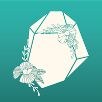 Drock Wellness Coach