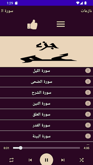 قران كريم بصوت اسلام صبحي Screenshot 3