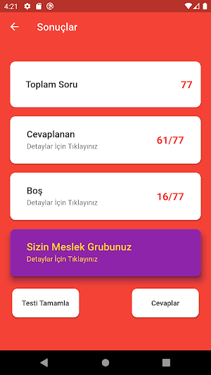 Meslek Grubu Testi (2021) Screenshot 2