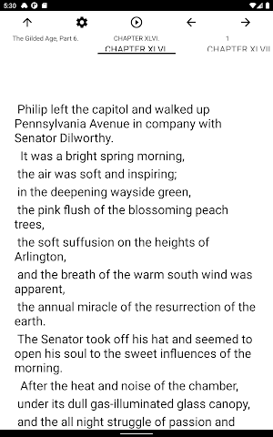 Book, The Gilded Age, Part 6. Screenshot 3