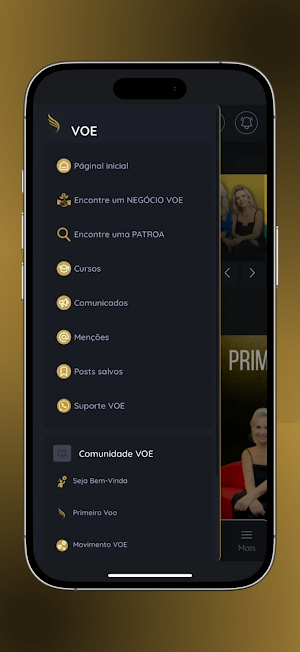 VOE Screenshot 3