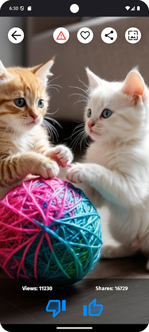 Cats Wallpapers HD Screenshot 0