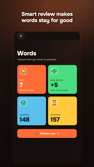Learn Spanish fast: Lingavela Screenshot 2