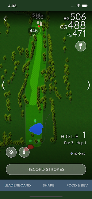Golf Birmingham Screenshot 3