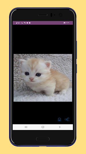 خلفيات قطط فخمة Screenshot 1
