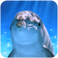 Tap Dolphin -3Dsimulation game