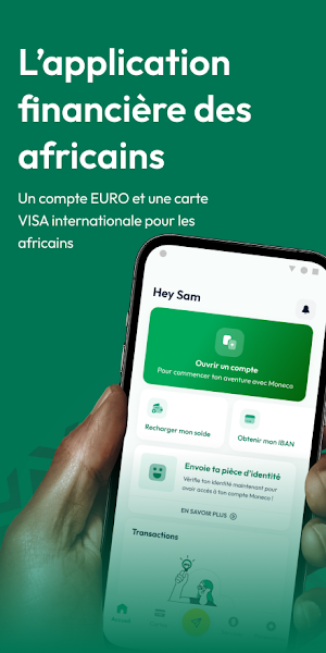 Moneco Screenshot 0
