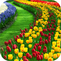 Garden Wallpapers 4k