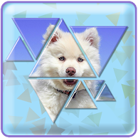 Triangle puzzle - Tangram‏
