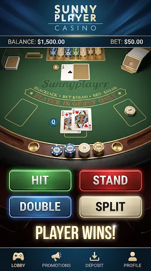 Sunnyplayer Screenshot 1