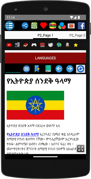 Ethiopian Flag/የኢትዮጵያ ሰንደቅ ዓላማ Screenshot 1