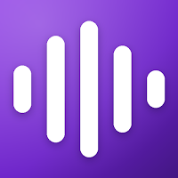 SoundFlow Offline Music Player
