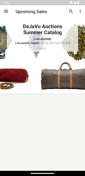 DeJaVu Auctions Screenshot 0