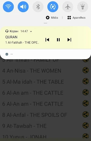 Russian Quran Audio Screenshot 0