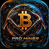 Pro Miner Bitcoin Miner Cloud