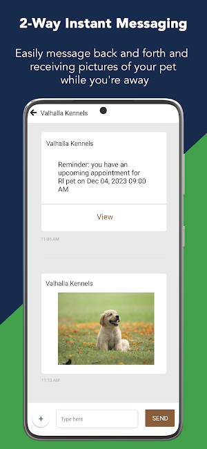 Valhalla Kennels Screenshot 2