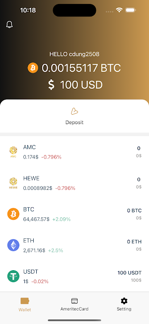 Ameritec Card Screenshot 1