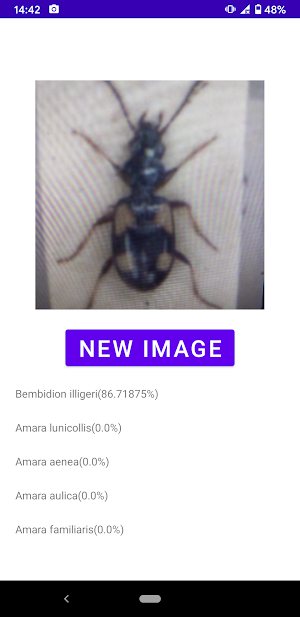 Insect identifier Screenshot 2